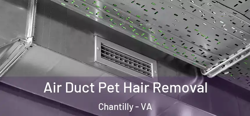 Air Duct Pet Hair Removal Chantilly - VA