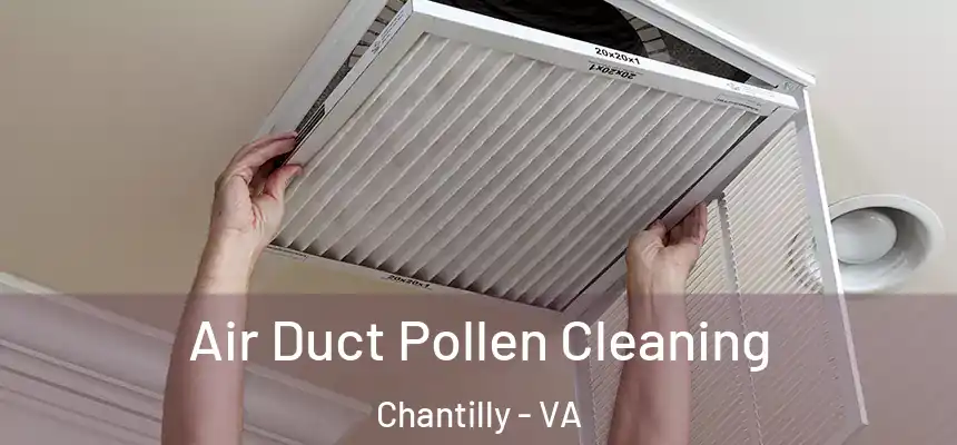 Air Duct Pollen Cleaning Chantilly - VA