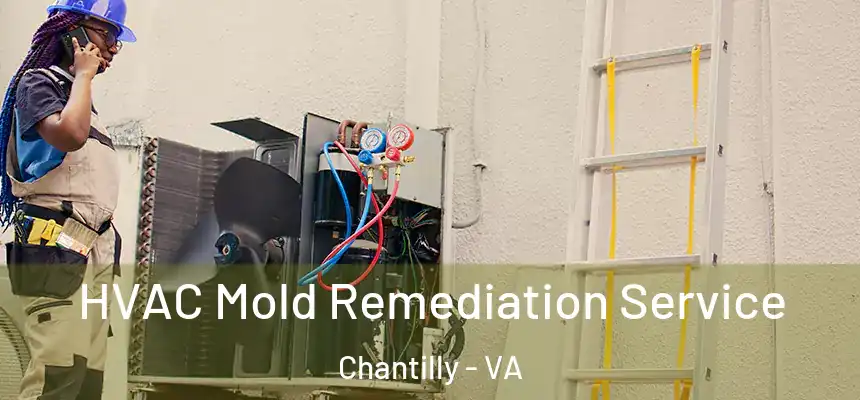  HVAC Mold Remediation Service Chantilly - VA