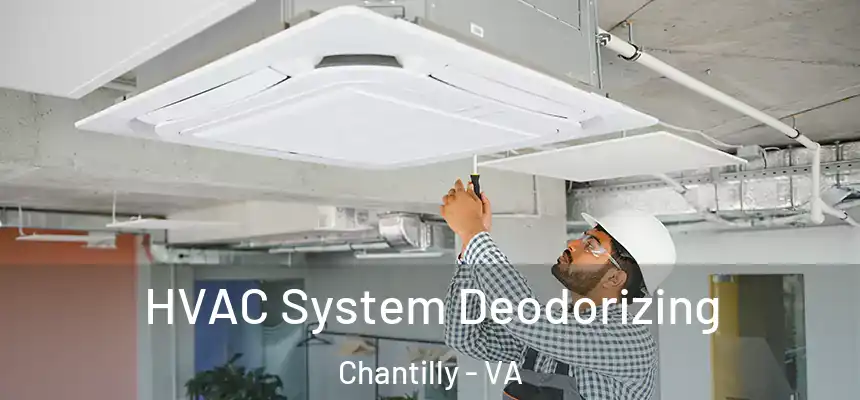 HVAC System Deodorizing Chantilly - VA