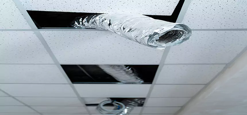 Our Air Duct Pet Hair Removal Services in Chantilly, VA