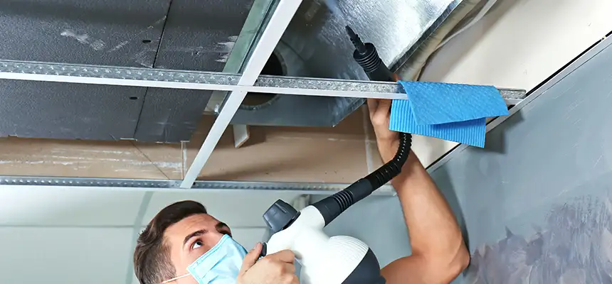 Our Air Duct Rodent Removal Services in Chantilly, VA