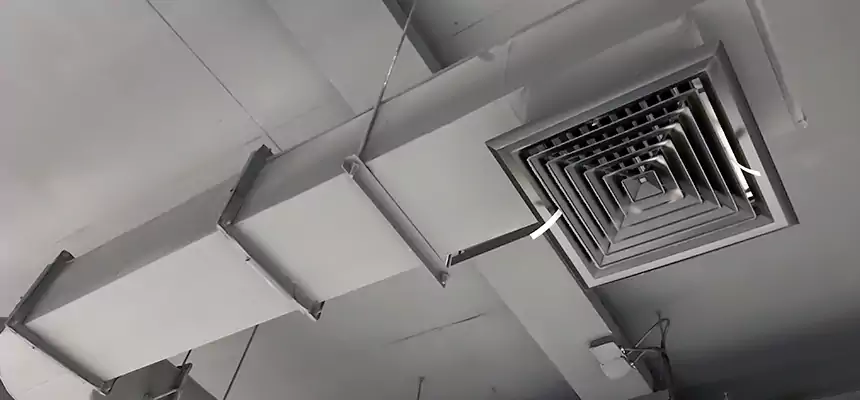 Our Pest Removal From Ducts Services in Chantilly, VA