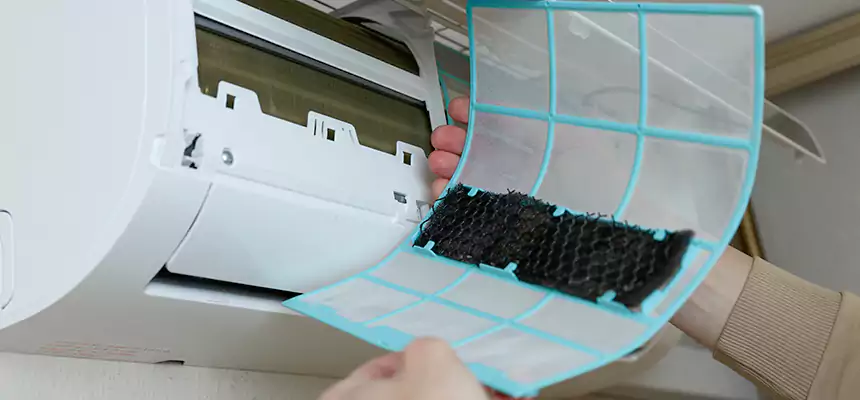 Gentle Ductwork Odor-Control Pet Dander Duct Cleaning in Chantilly, VA