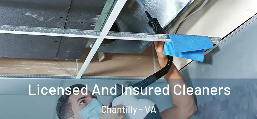 Licensed And Insured Cleaners Chantilly - VA