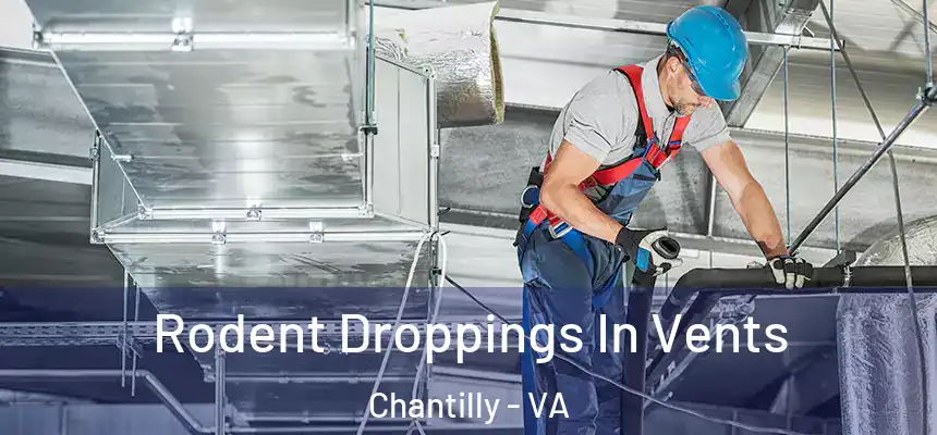  Rodent Droppings In Vents Chantilly - VA