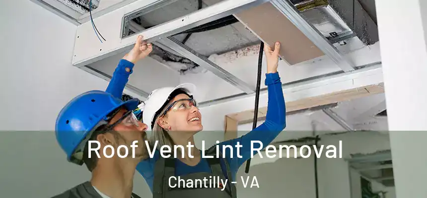  Roof Vent Lint Removal Chantilly - VA