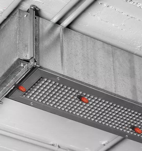 About Air Duct Cockroach Removal in Chantilly, VA