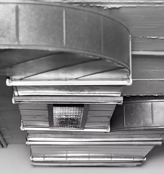 Professional Air Duct Pest Removal in Chantilly, VA