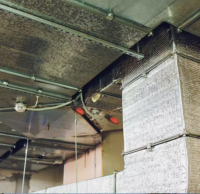 Why Homeowners & Businesses Trust Us in Chantilly, VA?