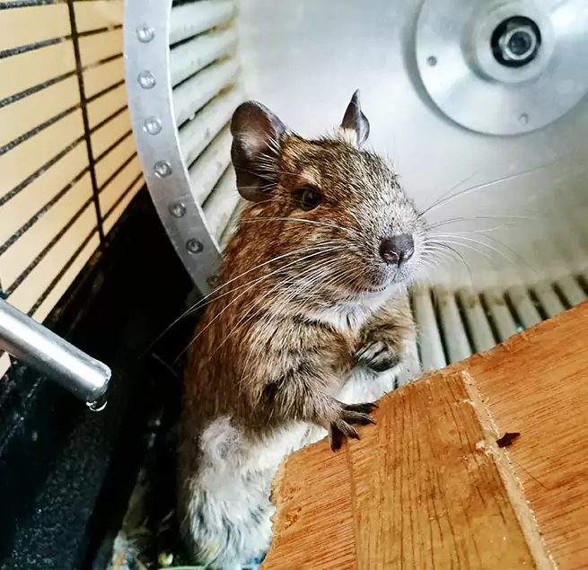 Why Homeowners & Businesses Trust Us Chantilly, VA