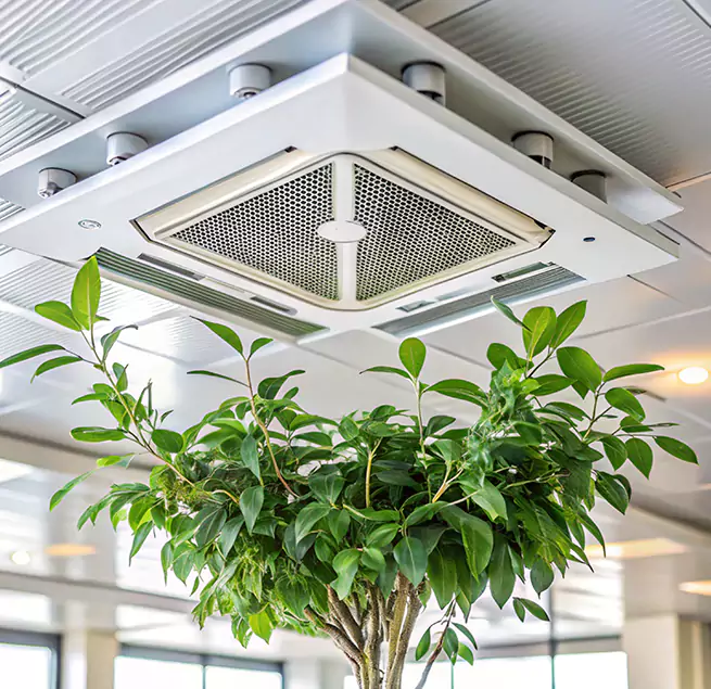 Why Homeowners & Businesses Trust Us in Chantilly, VA?